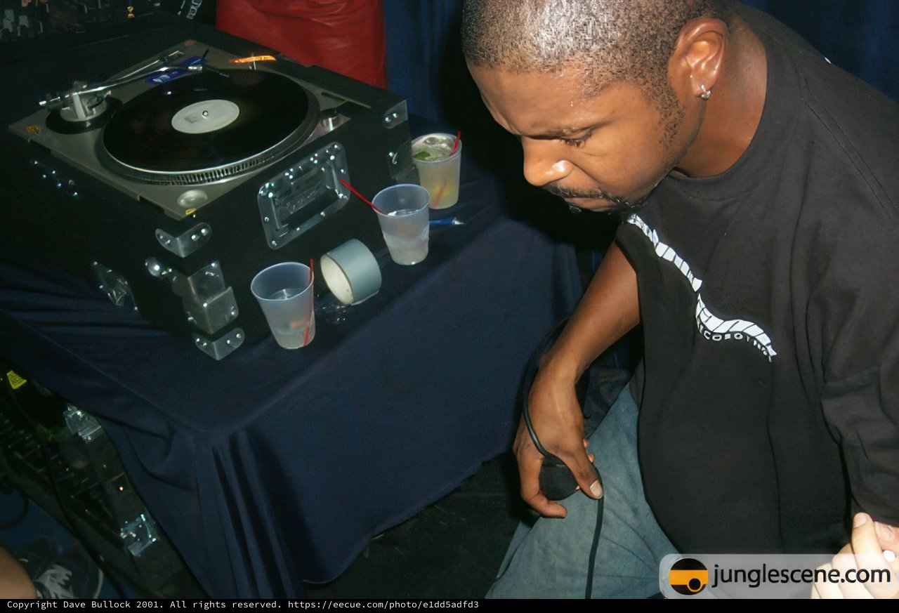 Turntable Tunes