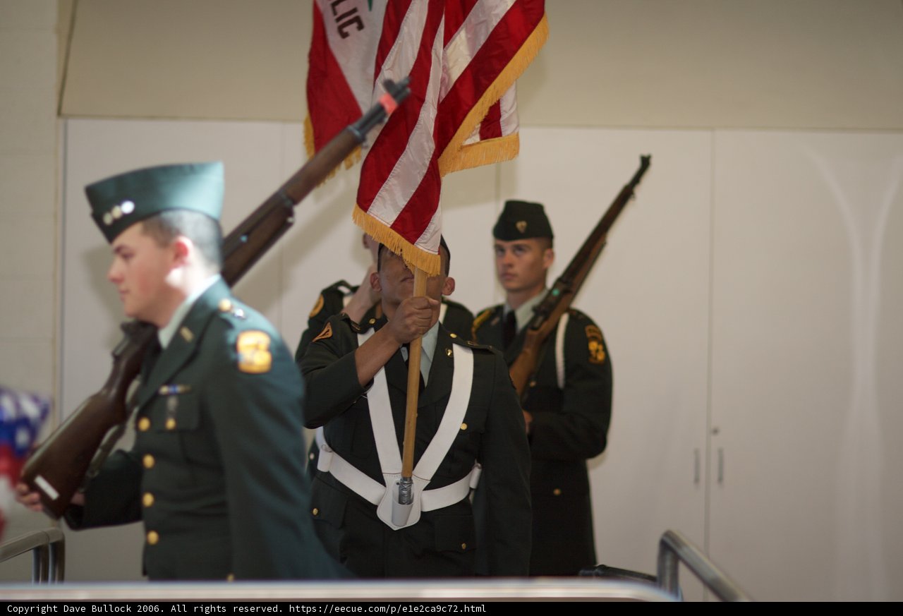 Saluting the Flag
