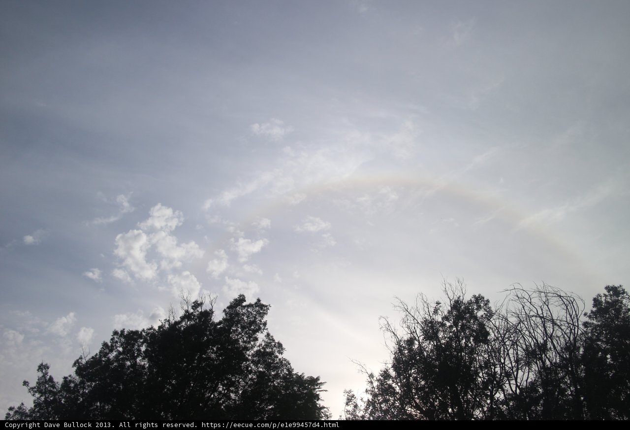 Rainbow above a Forest