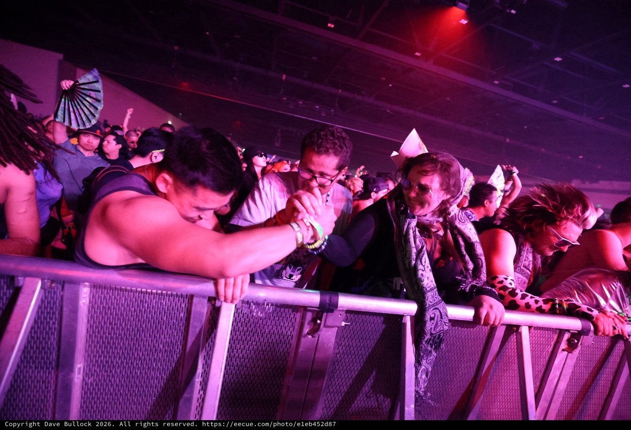 Festival Crowd Pressed Against Barrier at Wobbleland
