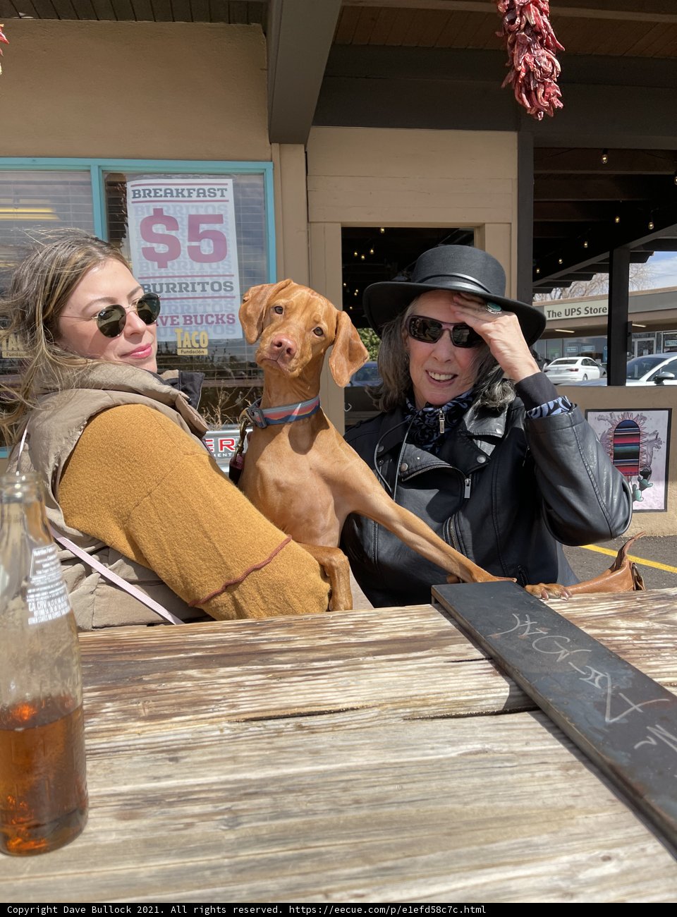Table for Two: A Woman and Her Canine Companion