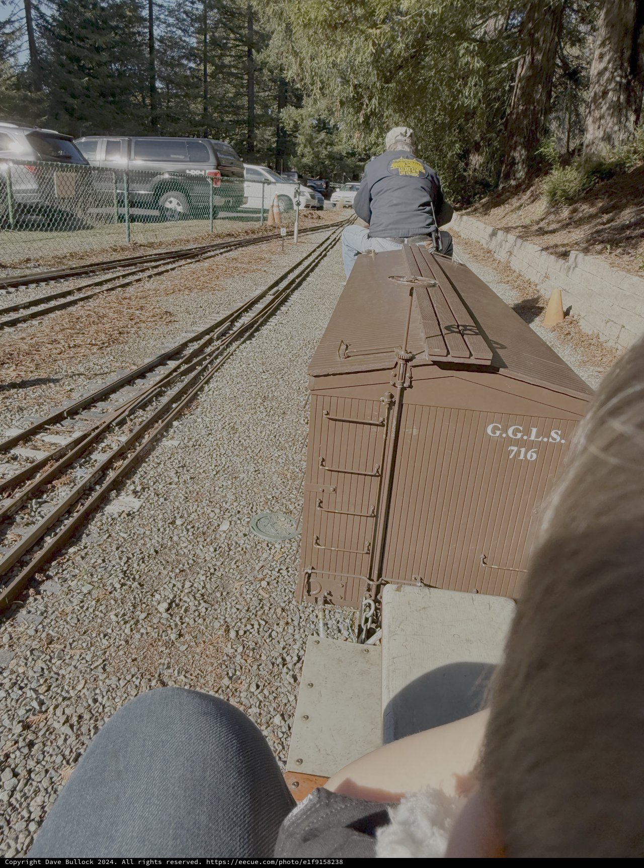 Vintage Model Train Journey Through Forest Setting