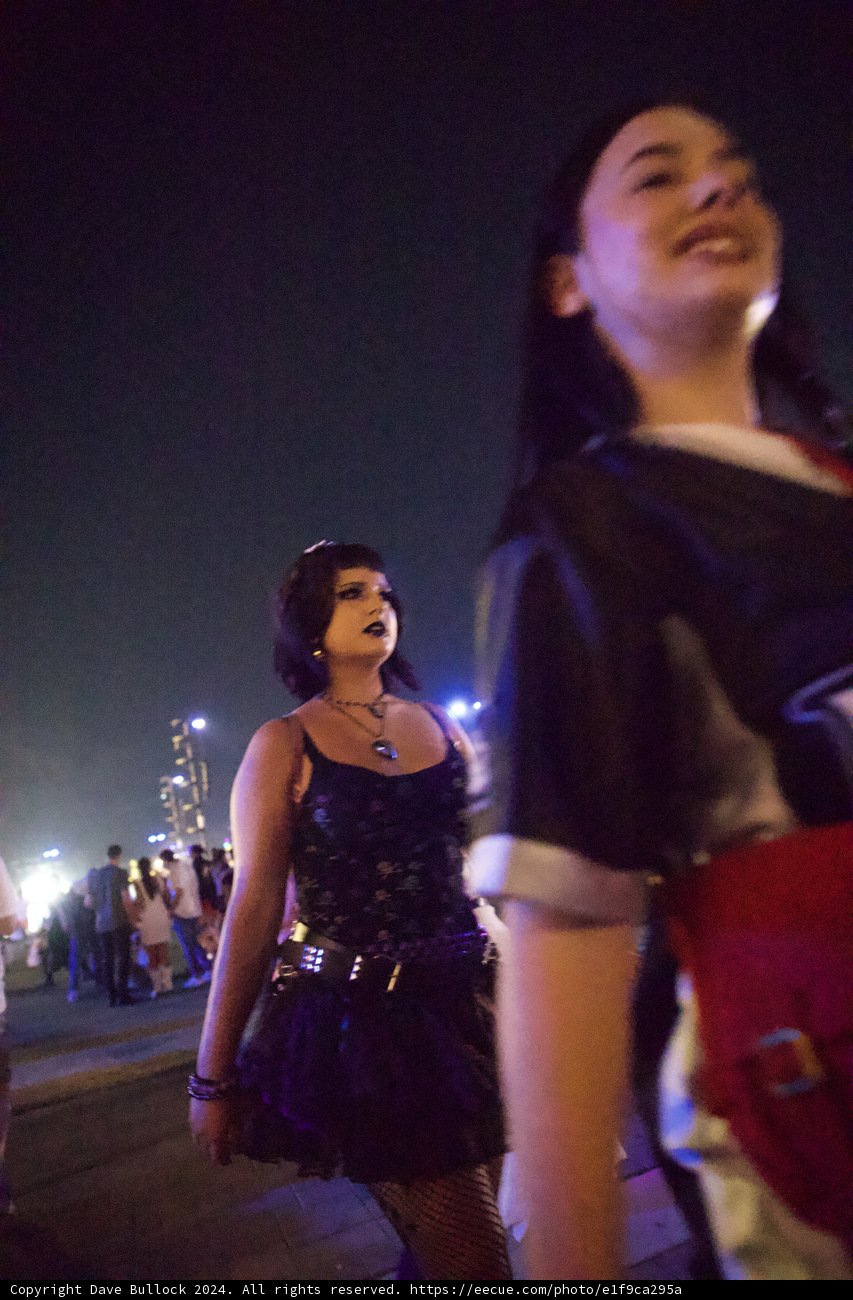 Evening Elegance at Coachella 2024