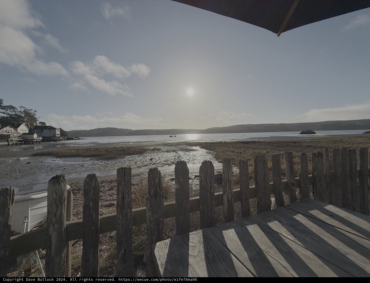 Coastal Boardwalk View at Low Tide