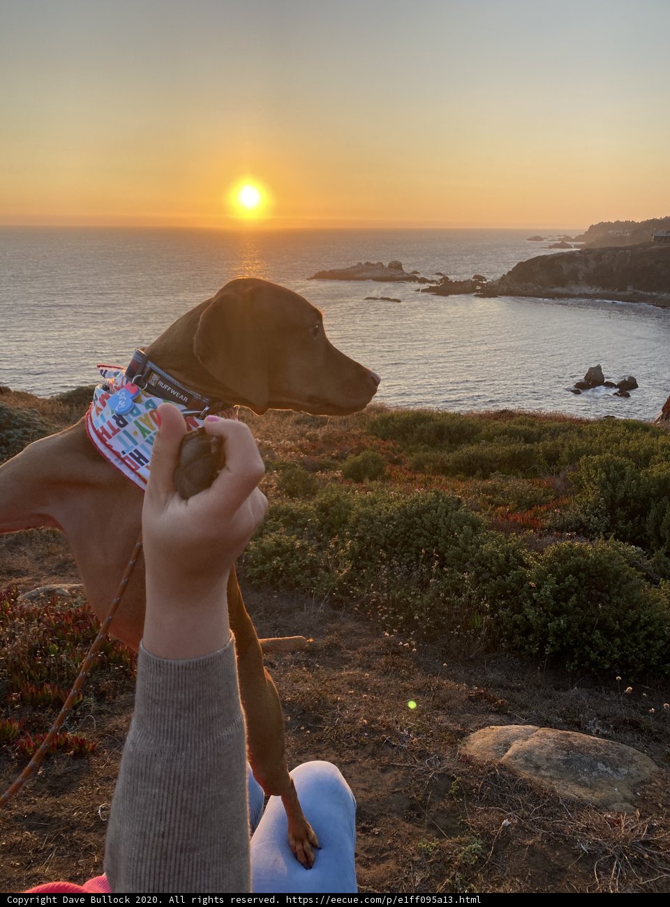 Sunset Snuggles