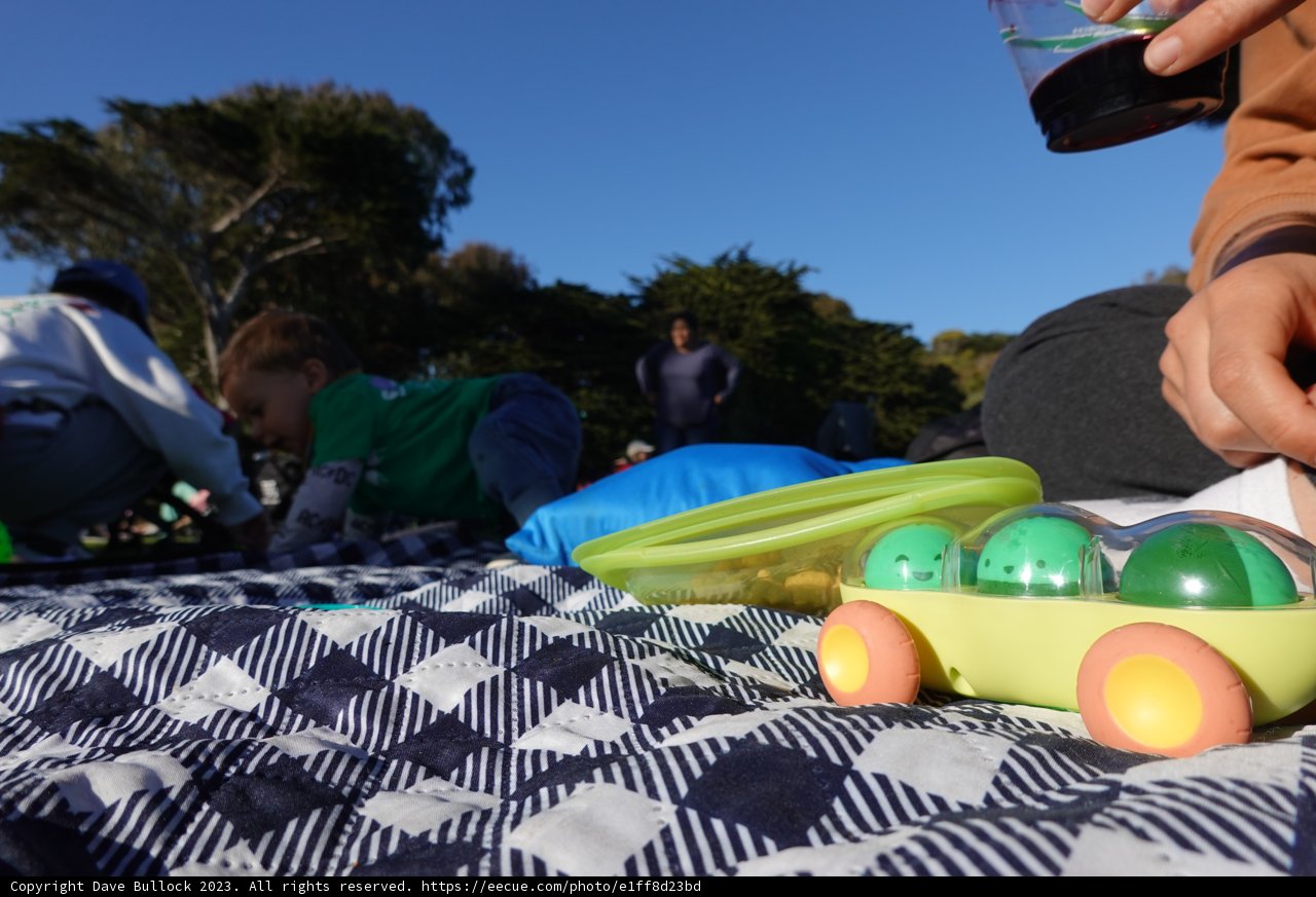 Picnic Under the Clear Blue Sky in 2023