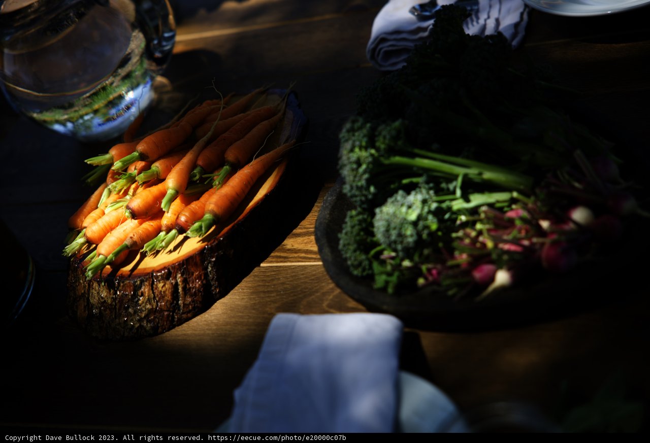 Freshly Harvested Vegetables from our Regenerative Garden