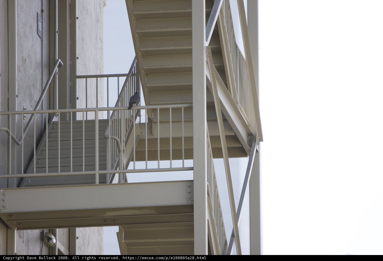 Ascending Architecture