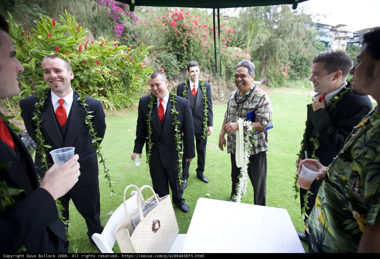 Hawaiian Wedding Celebration with Military Elegance
