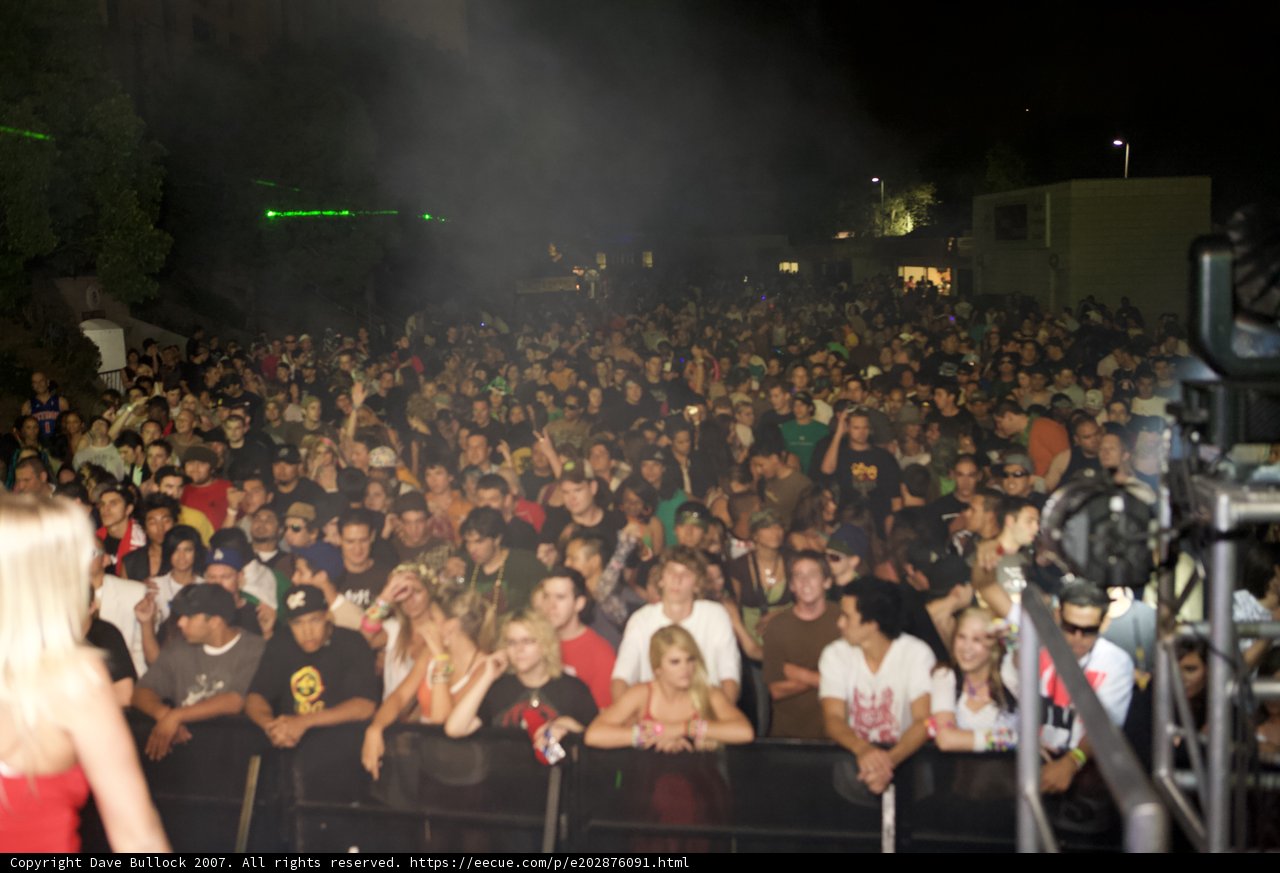 Electric Crowd