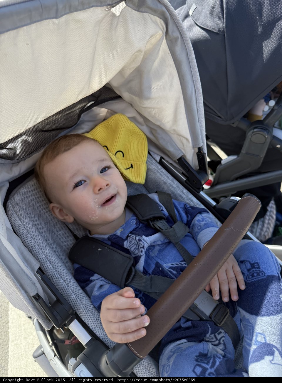 Sunny Smiles on a Stroll