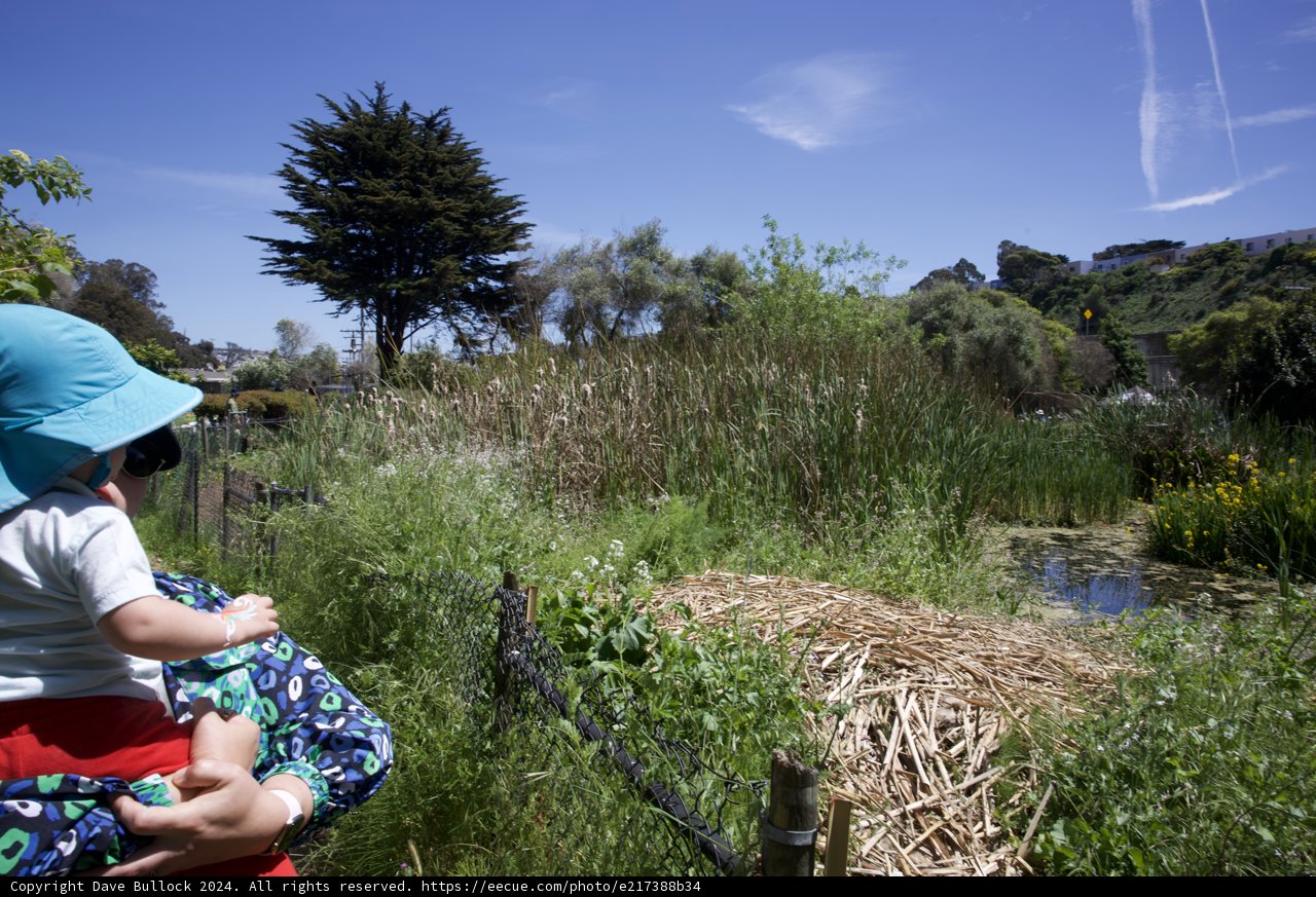 Nature's Embrace: A Day at Alemany Farm