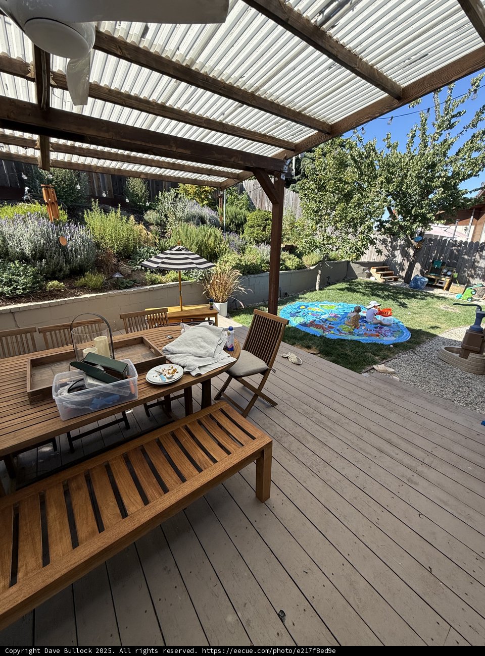 Serene Backyard Gathering