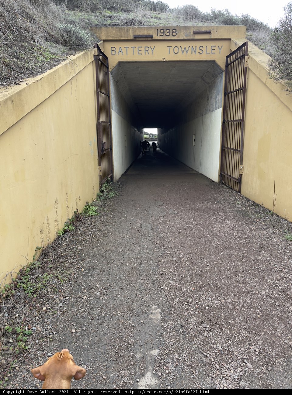 The Tunnel Guardian