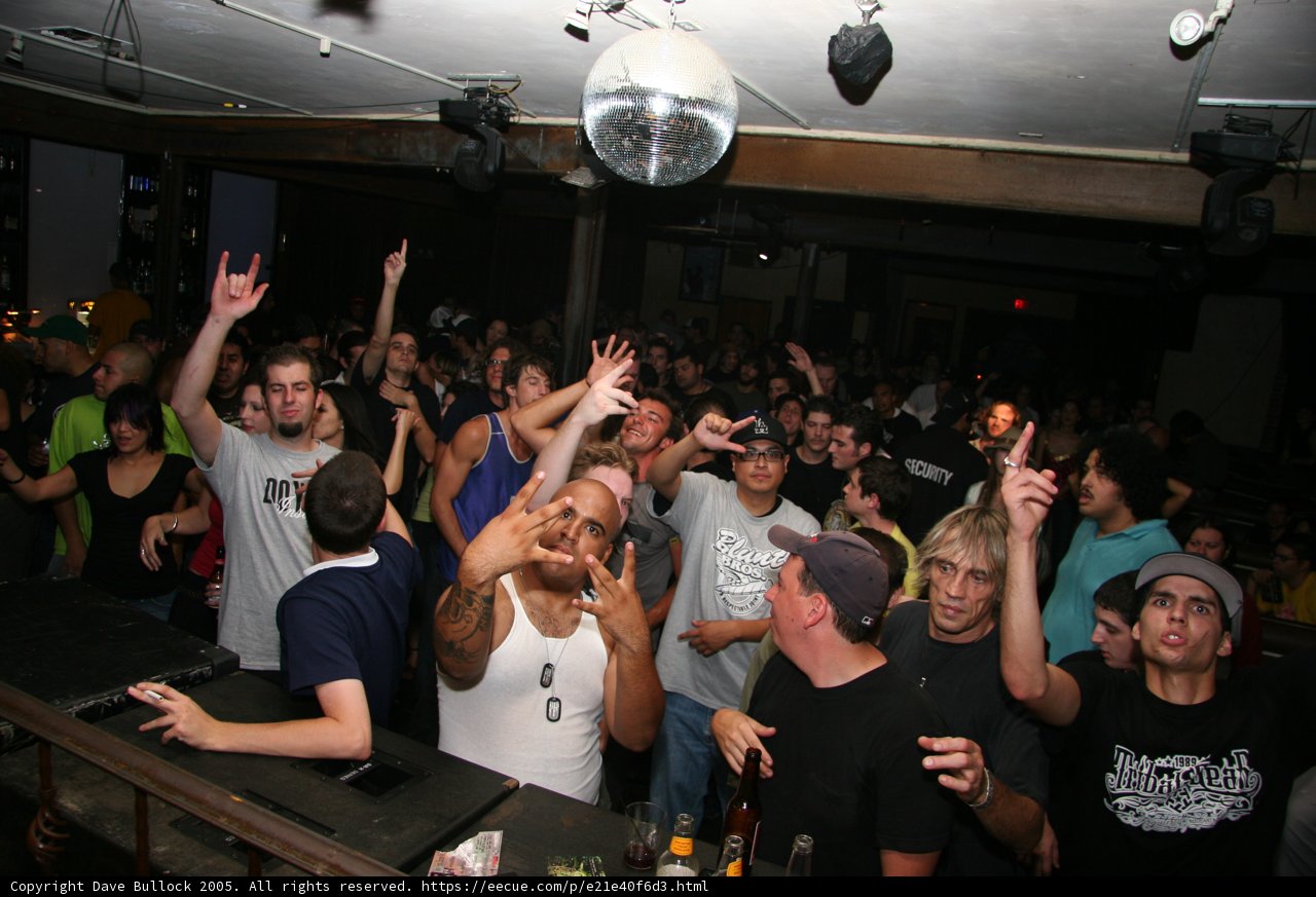 Night Life Fun in the Club