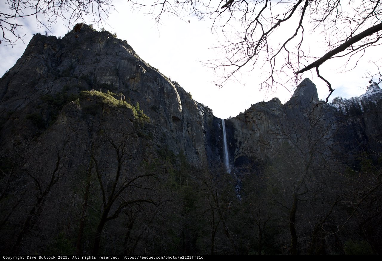 Yosemite Falls Through Bare Winter Branches