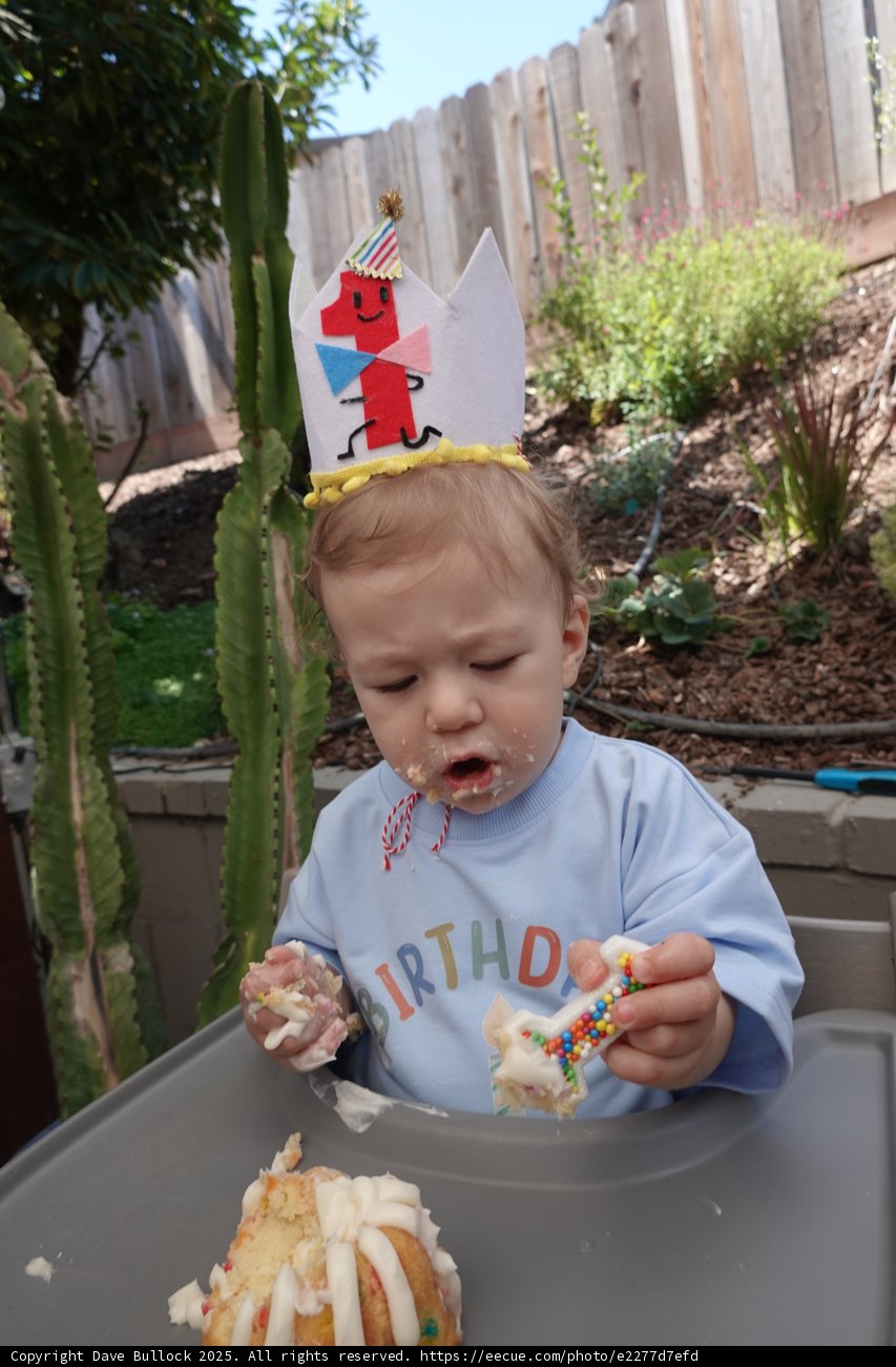 Birthday Bliss in the Backyard