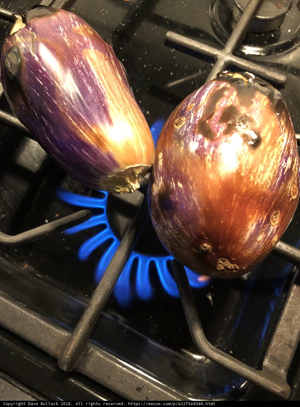 Purple Eggplants Sizzling on the Stove