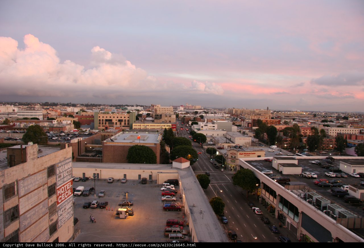 Dusk Above the Urban Jungle