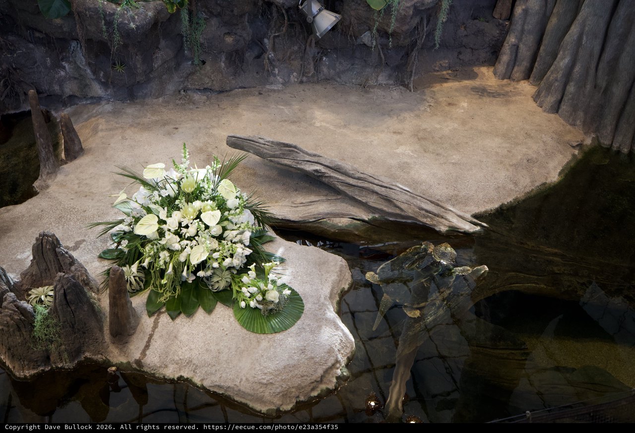 Memorial Floral Arrangement in Naturalistic Zoo Habitat
