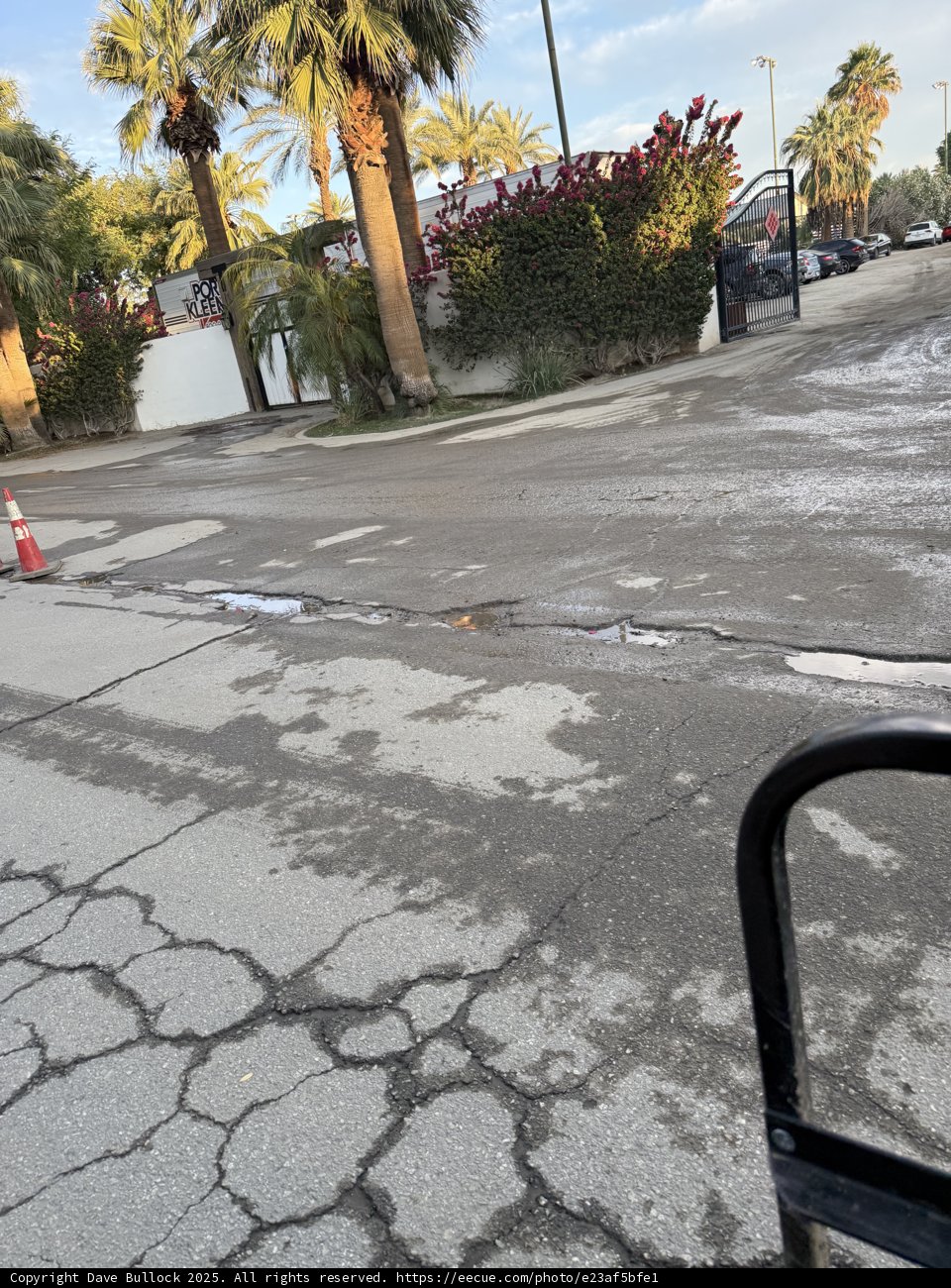 Urban Tranquility in Indio