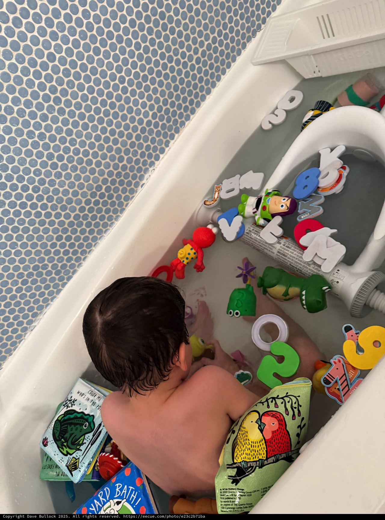 Bath Time Play with Colorful Toys and Books