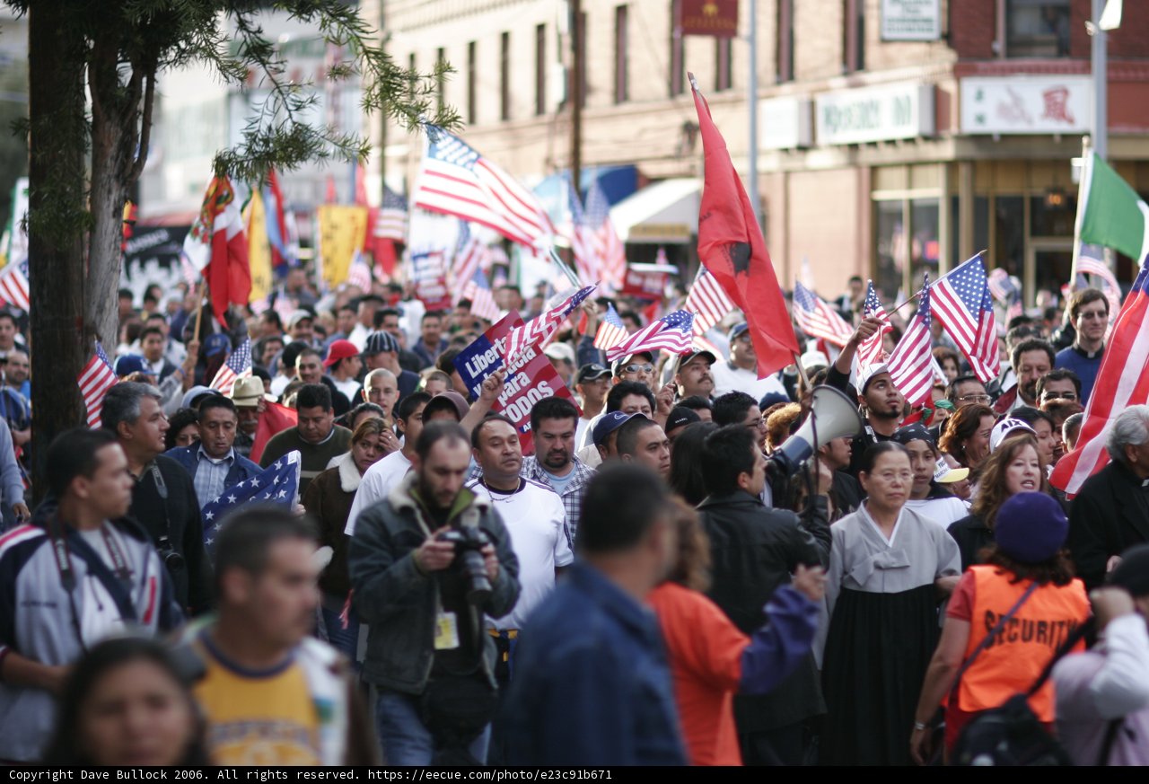 Patriotic Crowd Waves Flags