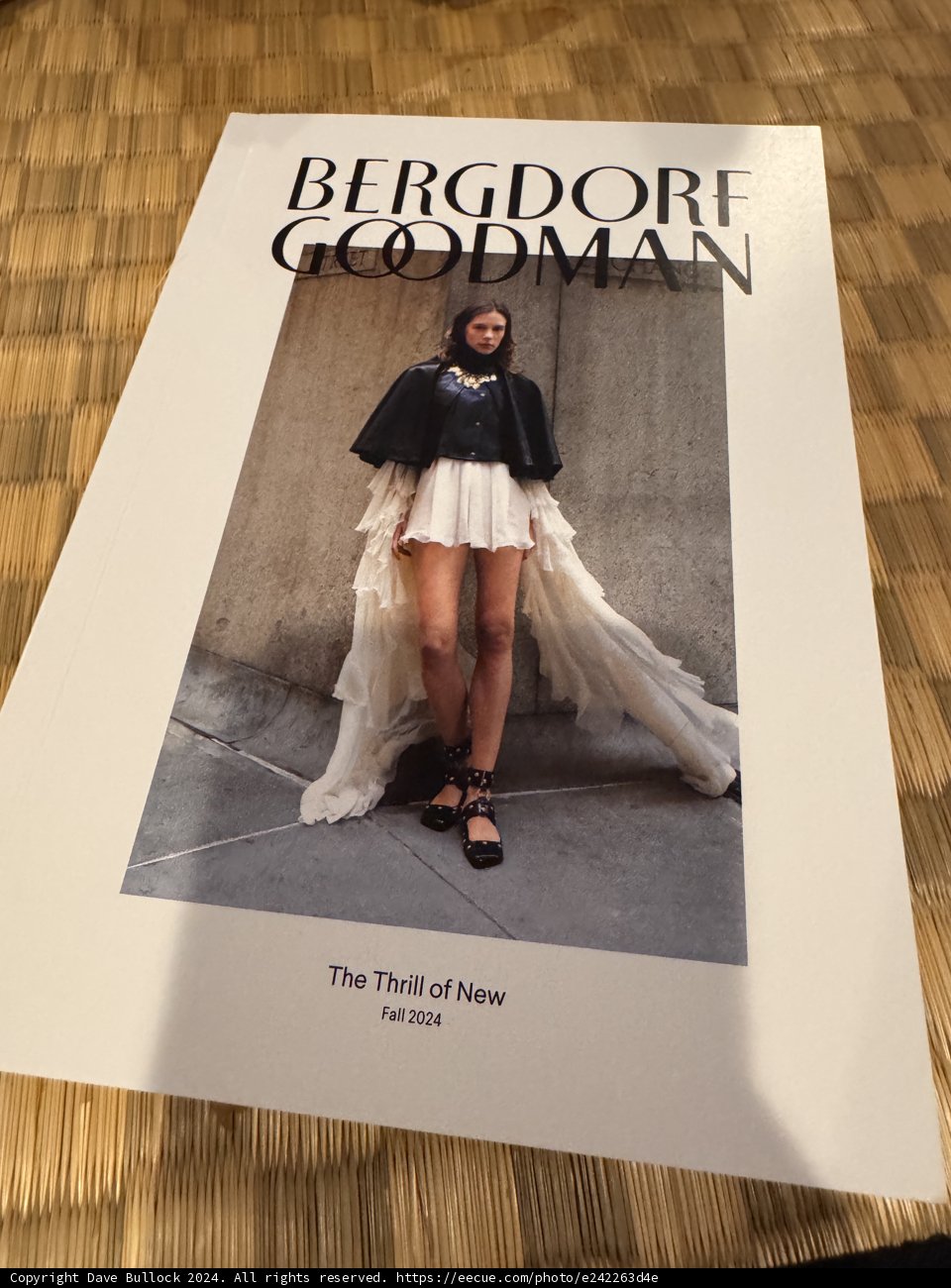 The Thrill of Fashion