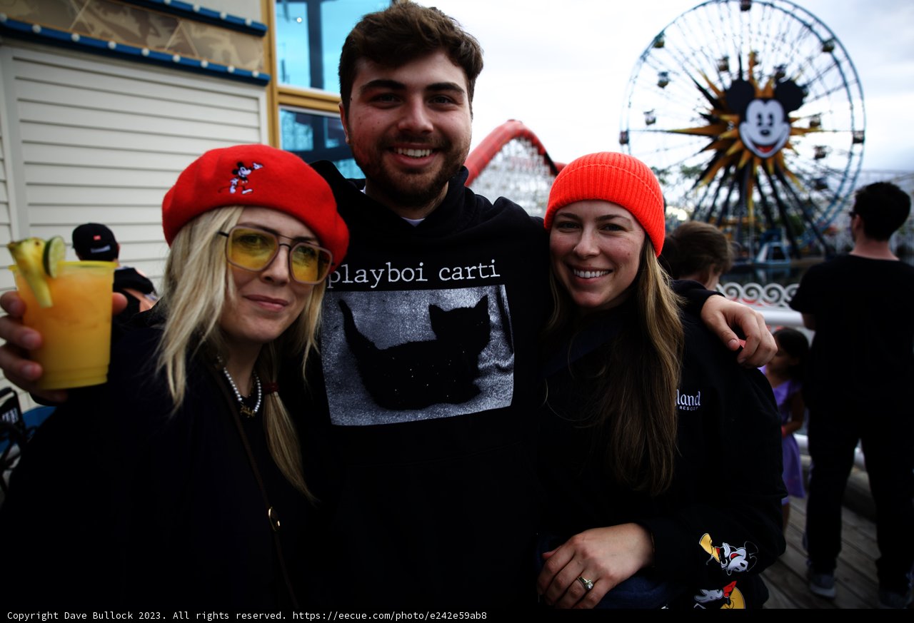 Ferris Wheel Fun with Friends