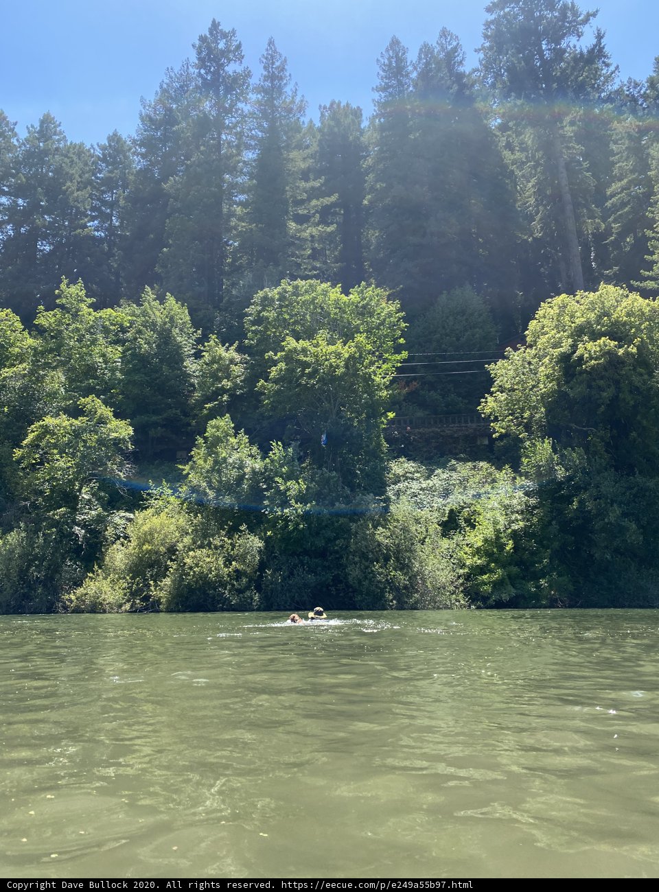 Kayaking through the Jungle