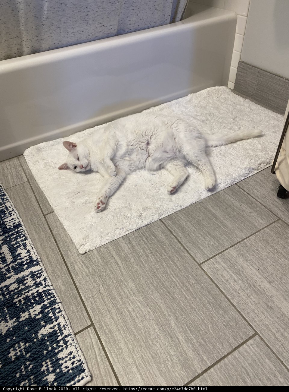 Bathroom Buddies