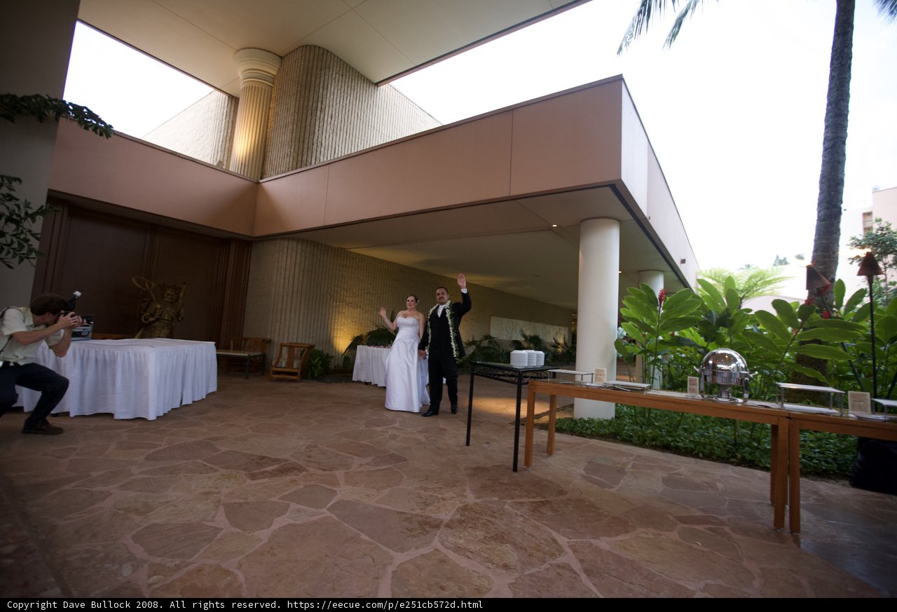 Newly Weds in Hawaii