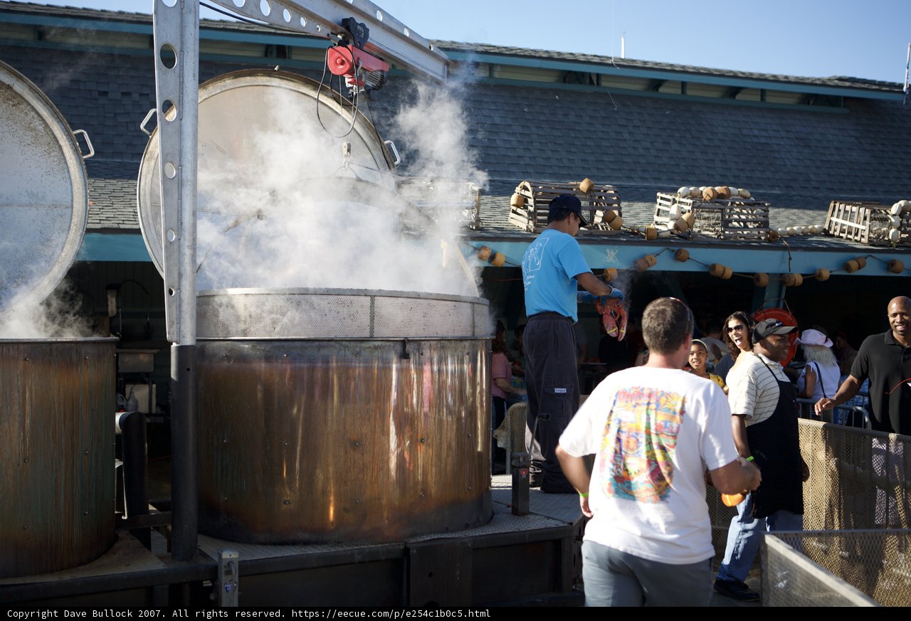 Boiling Good Time at Lobster Fest
