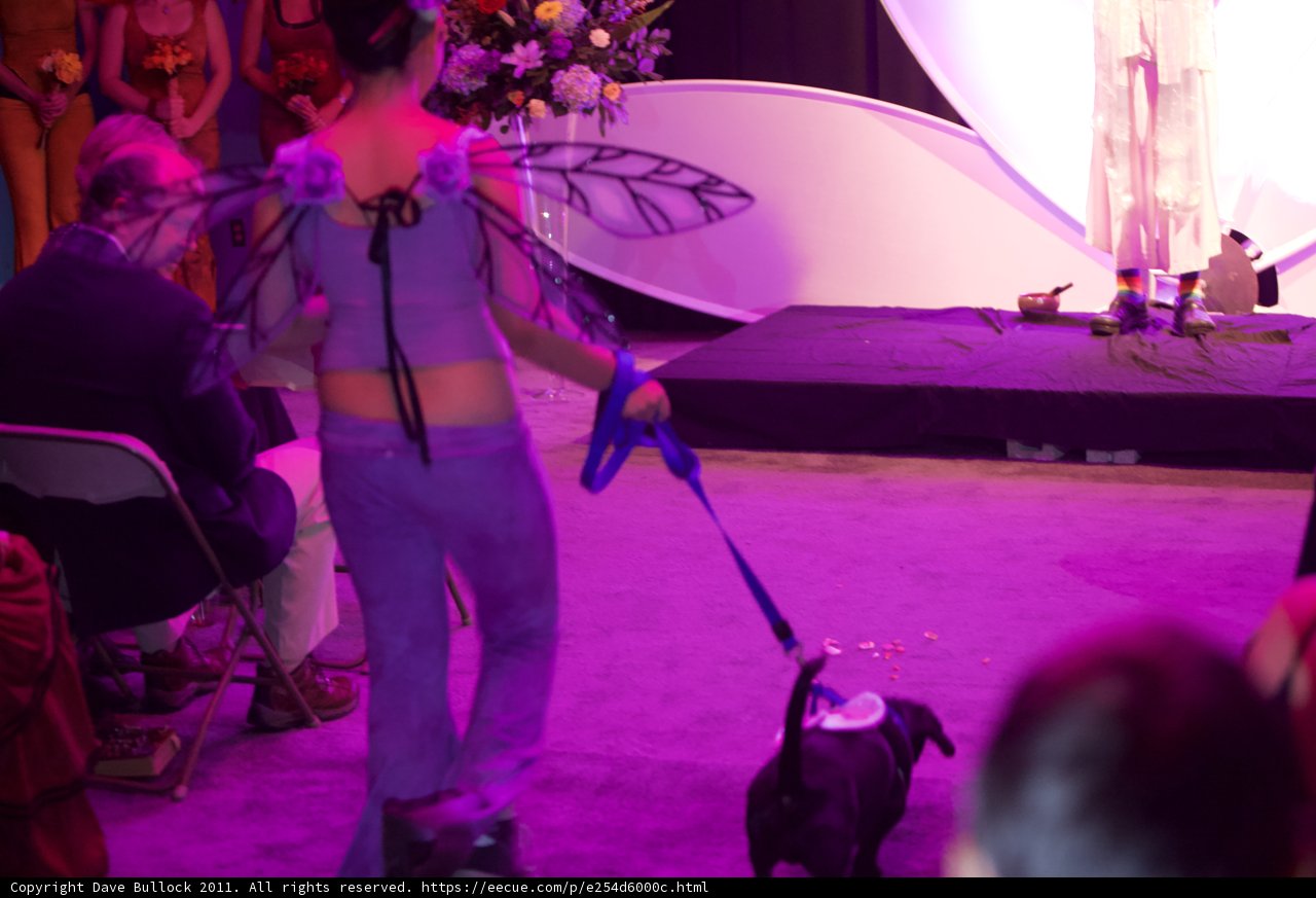 Purple Walking Companion