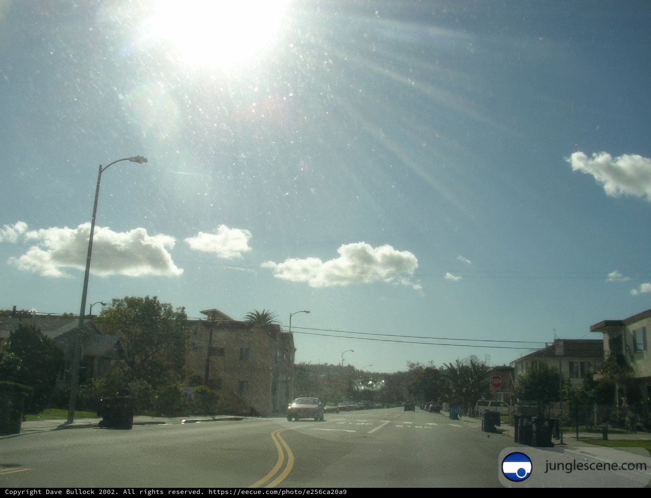 Sunny Drive