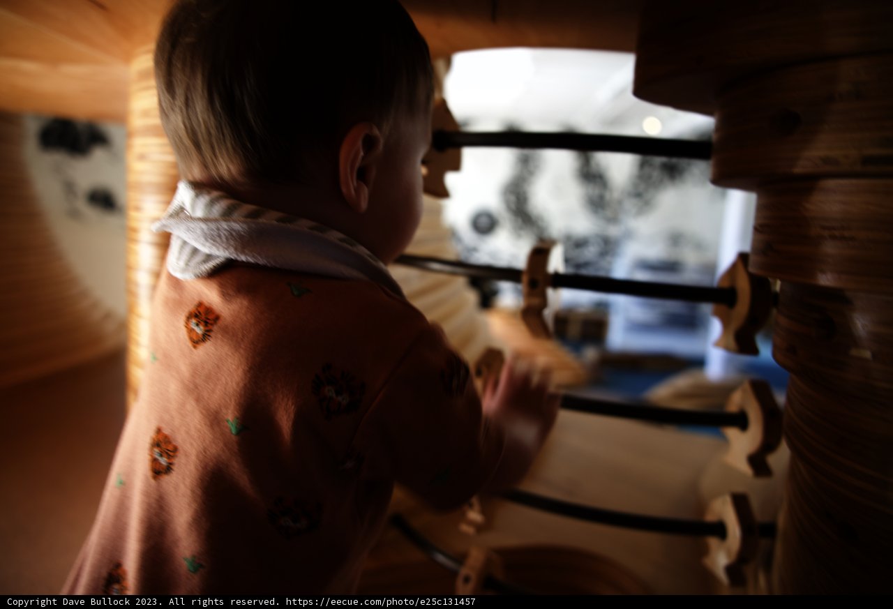 Fun in the Wooden Wonderland