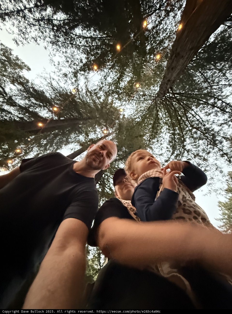 Woodland Wanderers