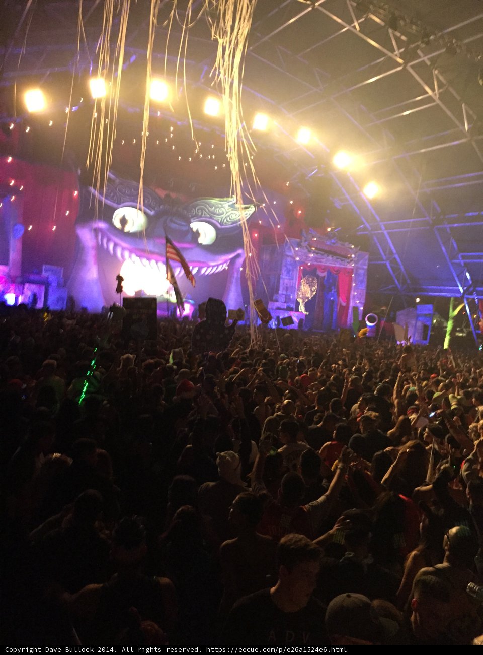 Concert Crowd with Balloons
