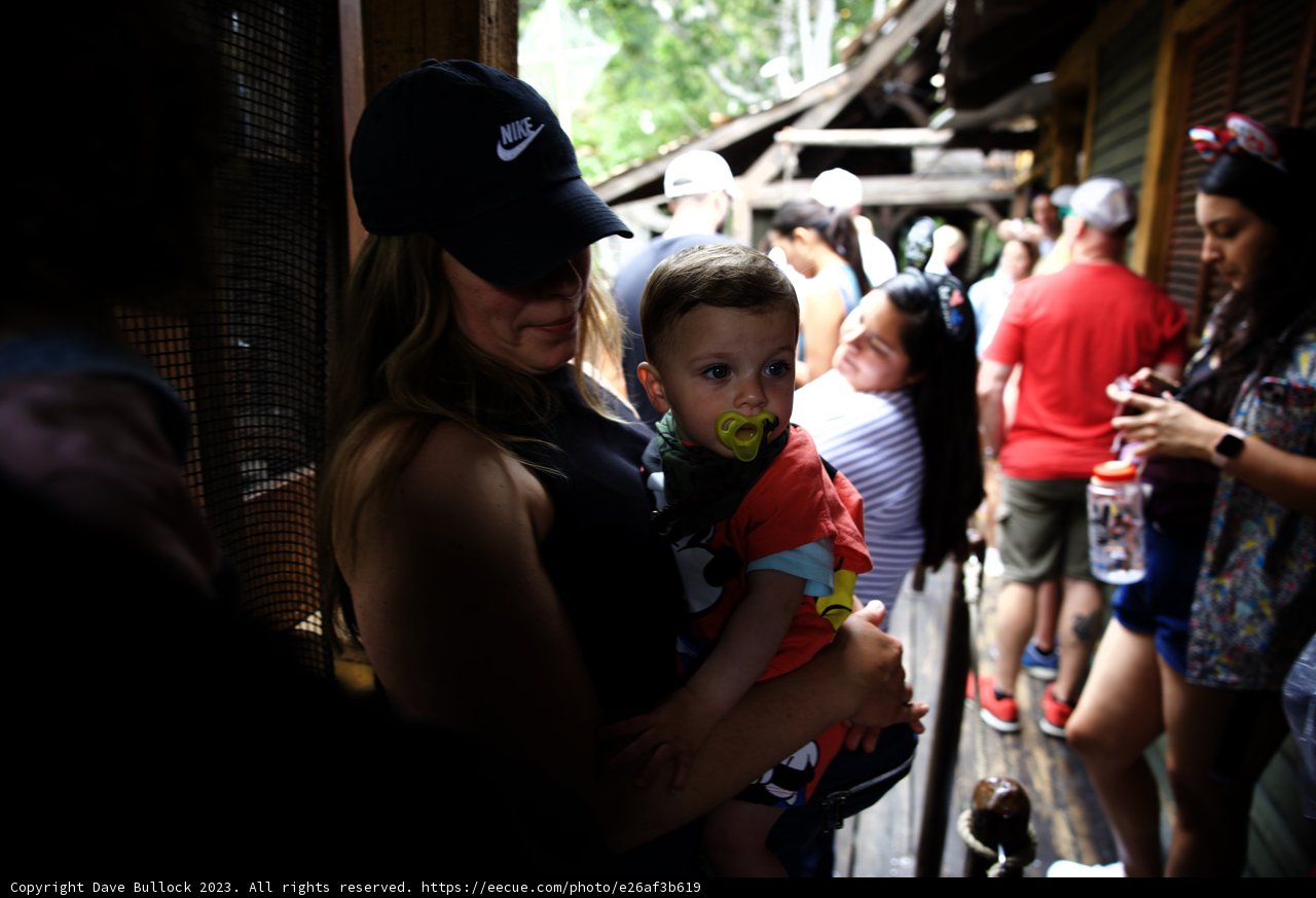 A Magical Moment at Disneyland