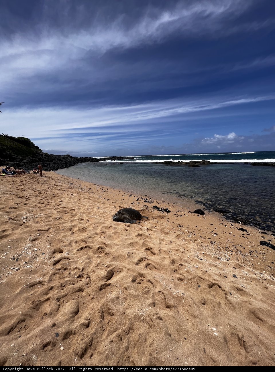 Paradise Cove
