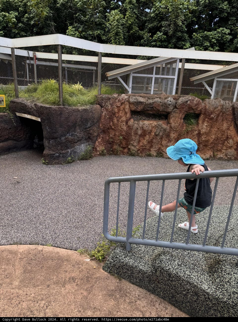 Exploring the Honolulu Zoo