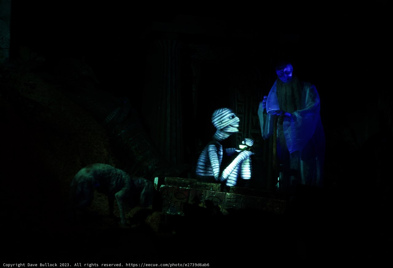 Enigmatic Encounter at Disneyland
