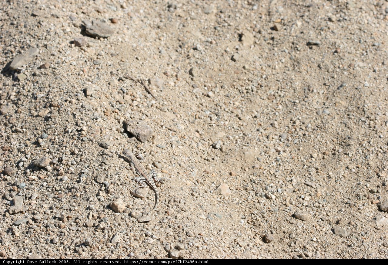 The Windowed Rock