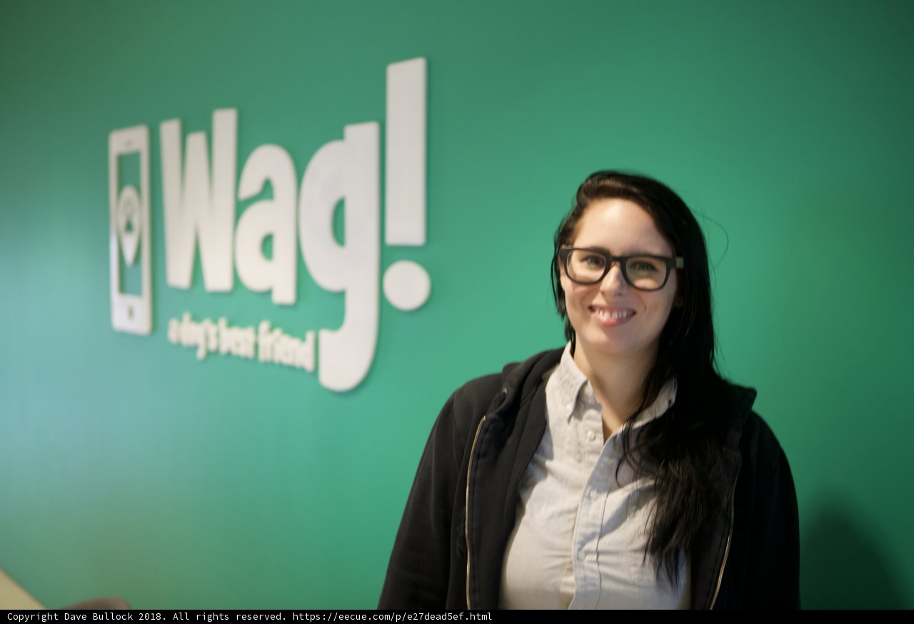 Woman in Glasses Poses in Front of Wag Logo