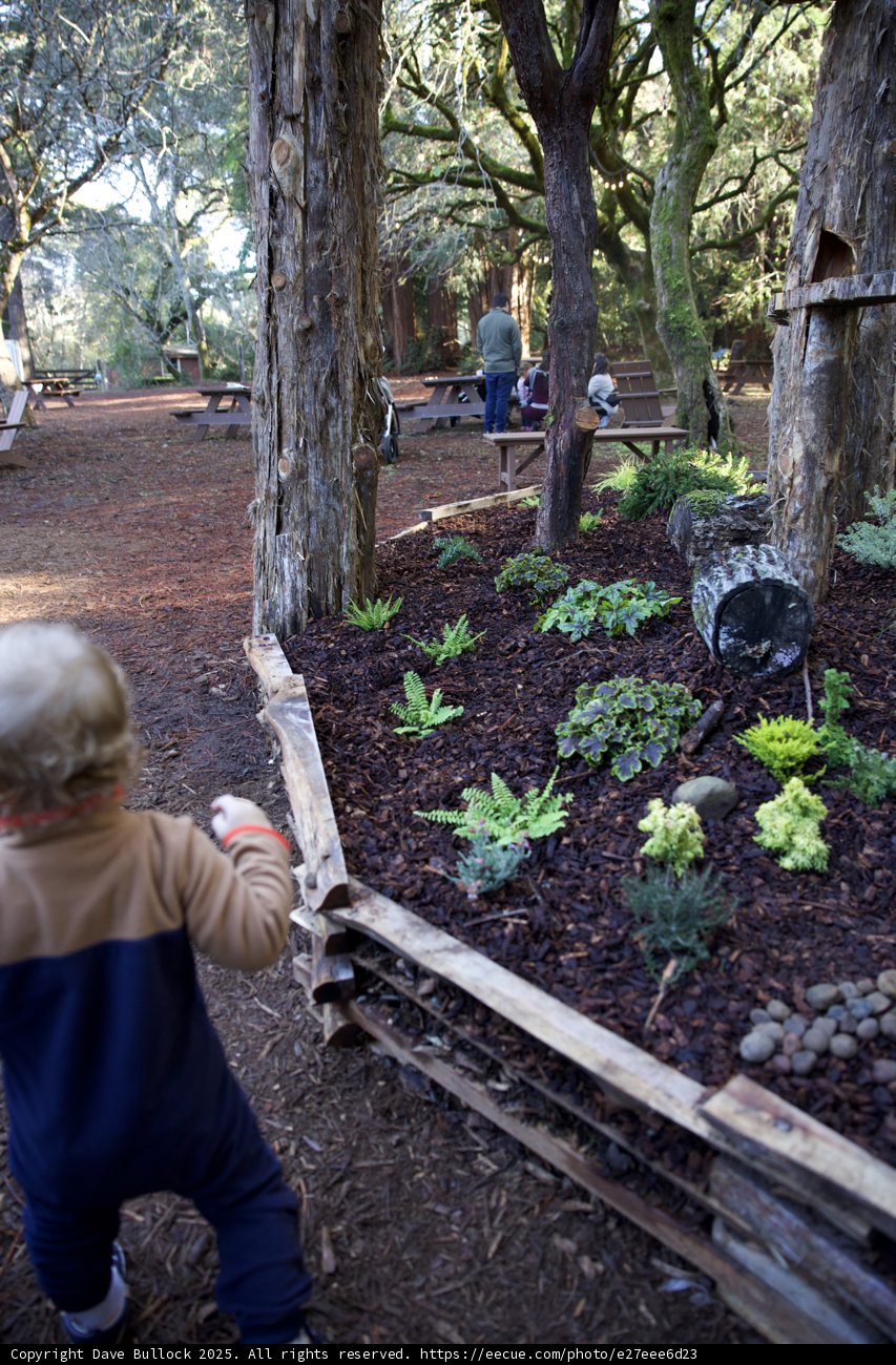 Woodland Wonders at Thistlewyck