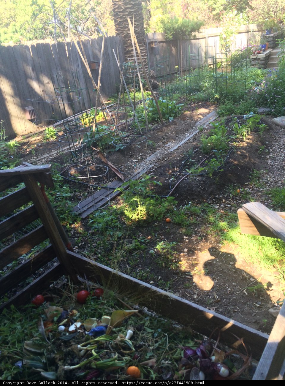 Serene Backyard Garden