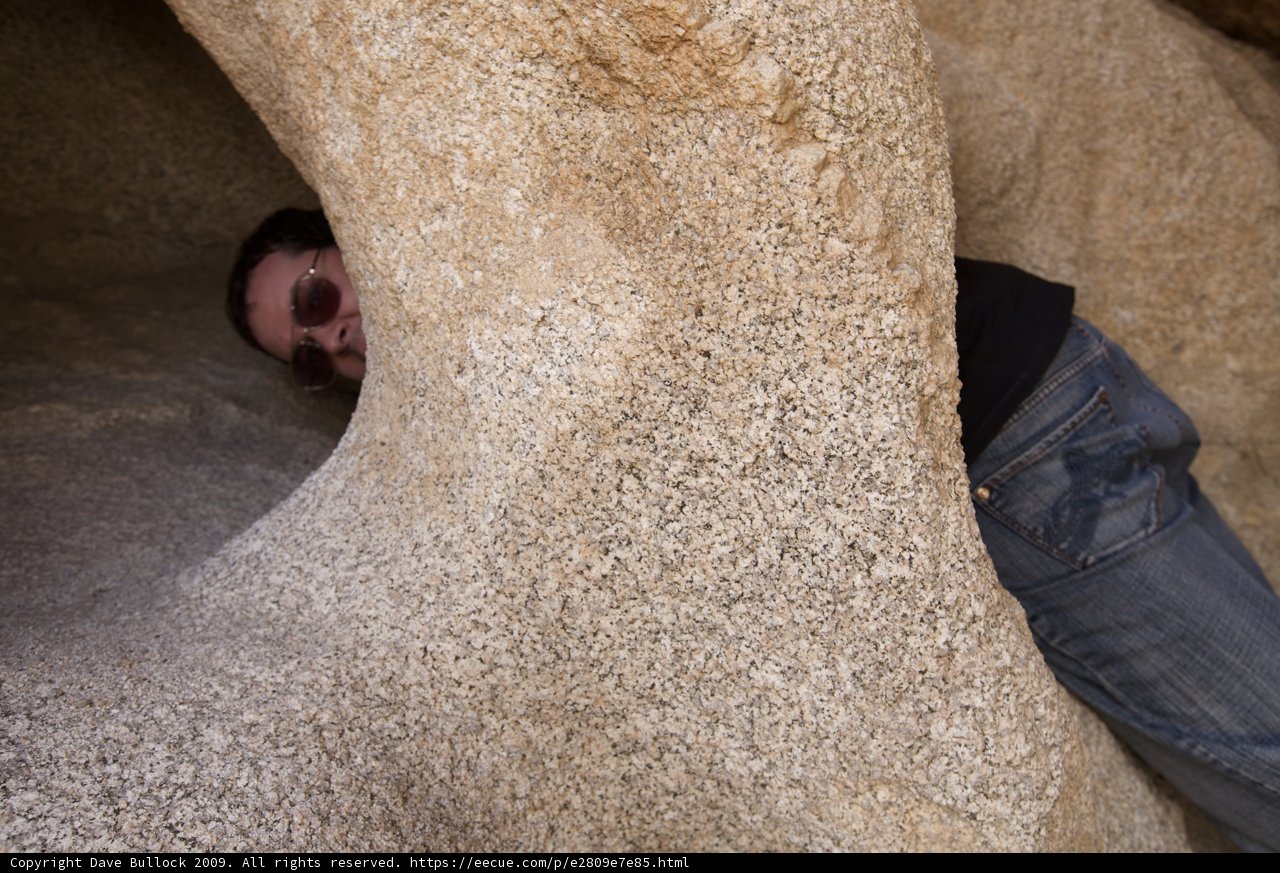 Hidden Among the Rocks