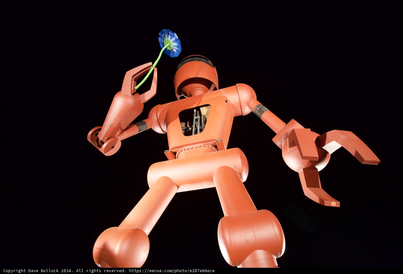 The Sentient Robot and the Flower