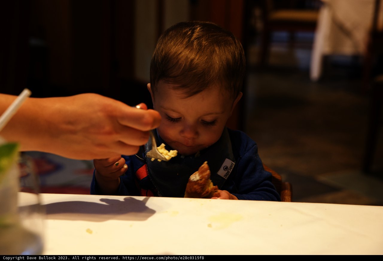 Little Foodie's Disneyland Adventure