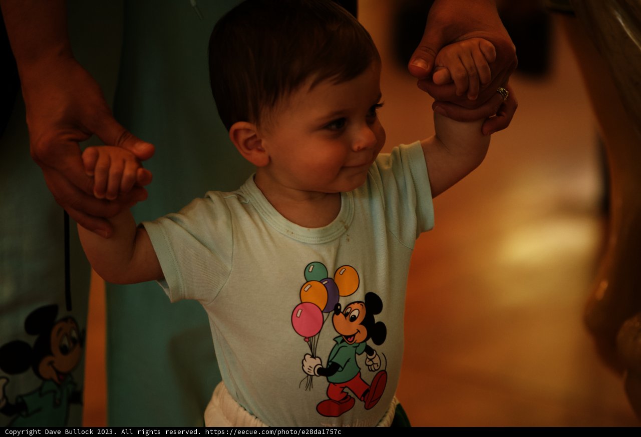 Mickey's Littlest Fan